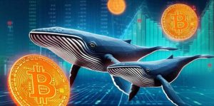 بیت کوین